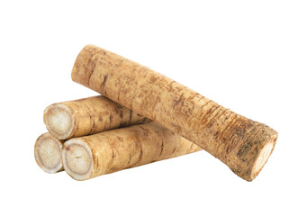Fresh Burdock roots on transparent png