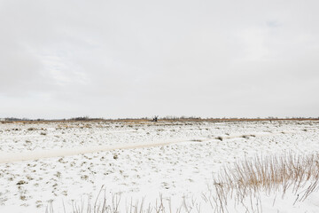 Dutch winter landscape with a small water mill on the horizon. - 554673028
