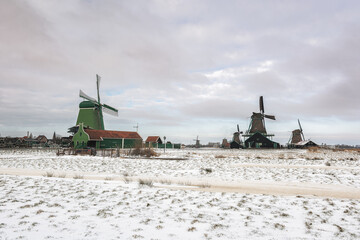View of traditional Dutch windmills in the small village of Zaanse Schans - 554673056