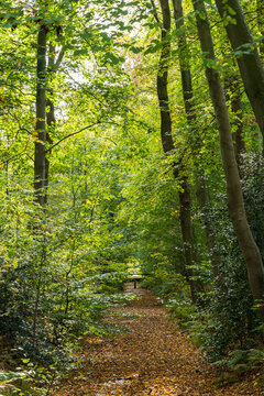Estate and park Nienoord in Leek municipality Westerkwartier Groningen province in The Netherlands