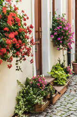 Beautifully decorated with fresh flowers, the threshold of a building.