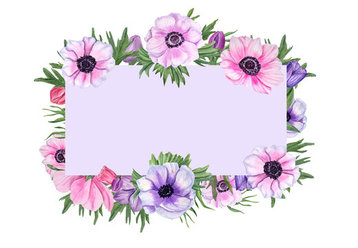 Horizontal frame with anemones isolated on white background. Watercolor floral illustration for Valentine day, wedding, birthday, mother day cards, invitation template