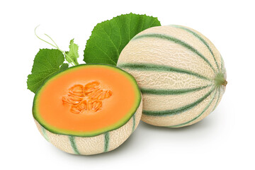 Cantaloupe melon isolated on white background with full depth of field,