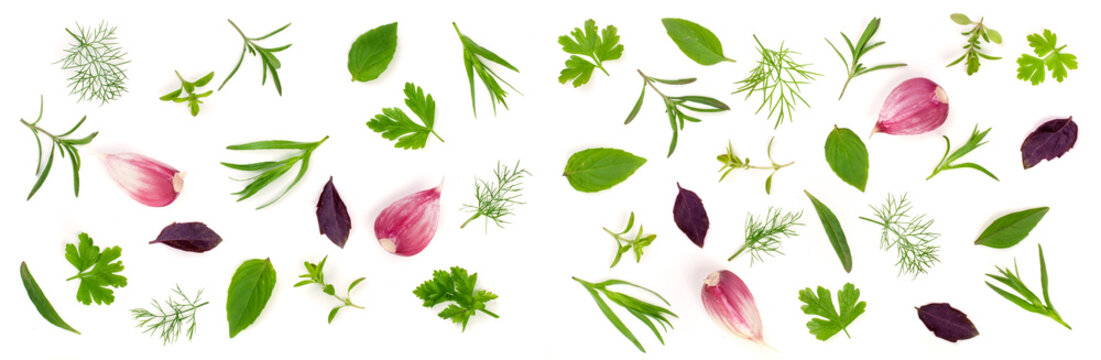 Fresh spices and herbs isolated on white background. Dill parsley basil thyme tarhun garlic. Top view