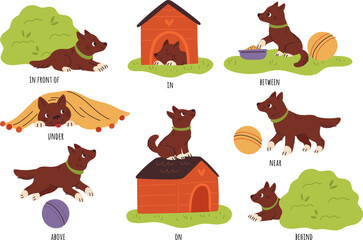 Obraz na płótnie Canvas Kids English prepositions. Childish education. Cute puppy with objects. Dog plays with ball. Animal eats and sleeps in booth. Language vocabulary learning. Pet positions. Garish vector set