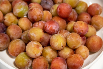 plate full of small raw plums