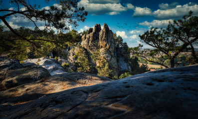 Hamburger Wappen sch&ouml;nster Ort des Teufelsmauerstieges im Harz 