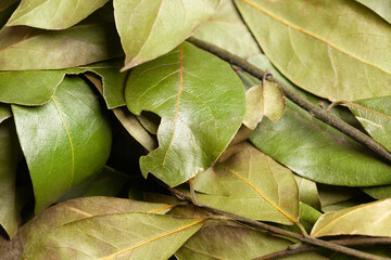 Dry bay leaves close up. Dried laurel leaf seasoning