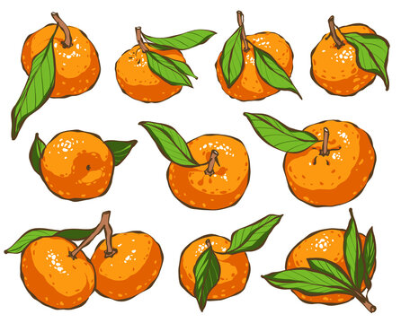 Set with tangerines