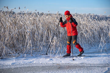 an inspiring hike with skis in nature by the Baltic Sea on a sunny day

