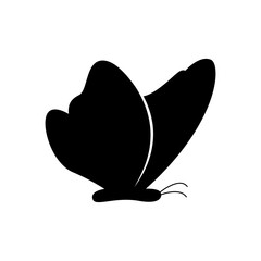 black butterfly silhouette,butterfly icon