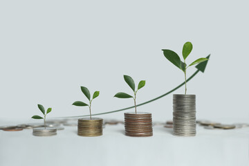 Fototapeta na wymiar business growth and investment concept. The tree is placed on the coin as it grows according to the value of the money. Investment,