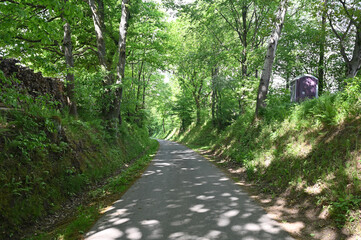 Forest path with firewood on the left and mobile toilet on the right of the path