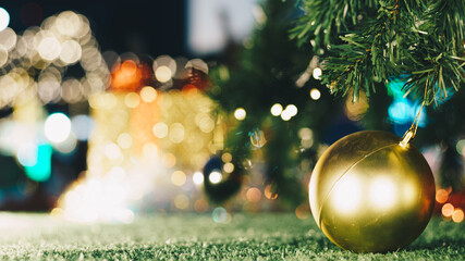 Fototapeta premium Christmas ball decorate on pine tree branch at night merry christmas