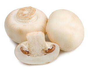 Mushrooms isolated on white background