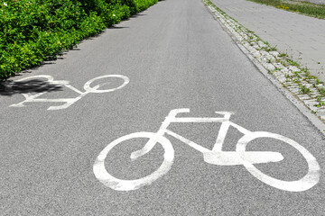 Fototapeta premium bike path sign applied with white paint on asphalt