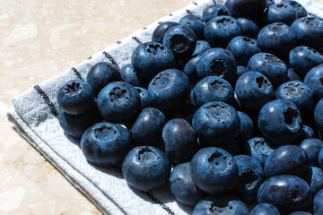 blue blueberries on a towel on a light background