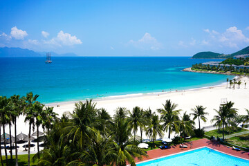 beach with palm trees