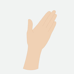 Vector illustration of a woman's palm, light skin tone