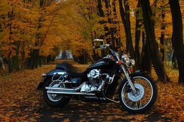 Motocykl, jesień, krajobraz, złota polska jesień, pojazd, jednoślad,  - obrazy, fototapety, plakaty