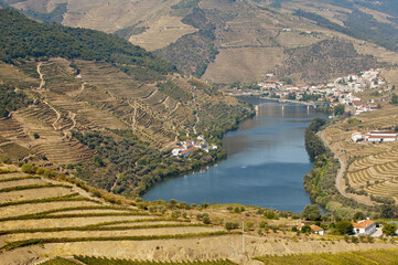 Fototapeta na wymiar Porto Wine vineyards, Alto Douro, Tras-os-Montes, Portugal