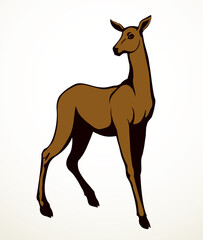 Naklejka premium Beautiful female deer. Vector drawing