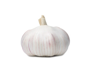 Single fresh white garlic bulb isolated on white background with clipping path in png file format, Thai herb is great for healing several severe diseases, heart attact, Hyperlipidemia or Dyslipidemia