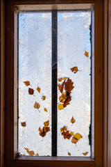 Fallen leaves and frost on a skylight window in winter