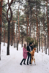 Akita dog plays with his owners in the winter forest