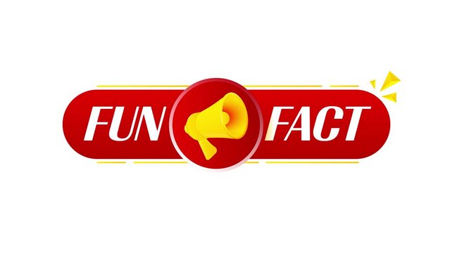 Megaphone with fun fact banner on white background. Web design. 4K video animation