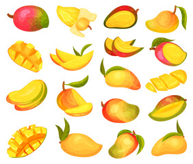 Bright Mango Fruit Whole, Sliced and in Cubes Big Vector Set