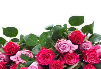 border of pink  flowers © neirfy