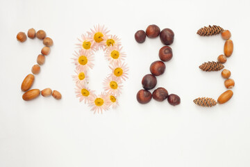 hazelnuts, numbers flowers and acorns lined with chickens 2023