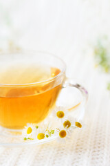 cup of herbal tea with chamomile flowers	