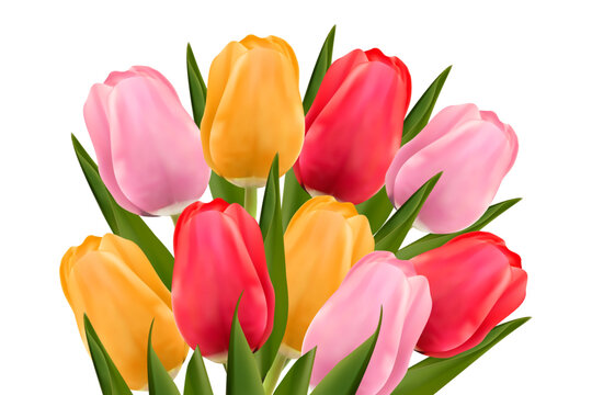 Bouquet of multi-colored tulips on a white background. The concept of mother's day, women's day. Vector image