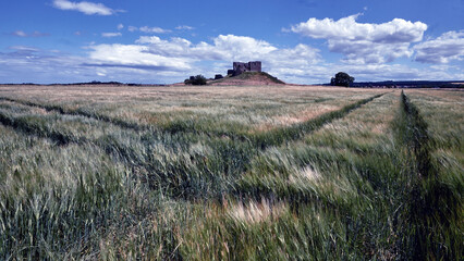 Duffus Castle is situated on the Laich of Moray, a fertile plain that was once the swampy foreshore...