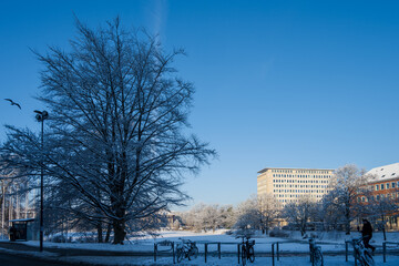 Der zugefrorene Kleiner Kiel in der Innenstadt nach einem Schneefall im Dezember