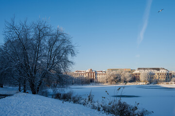 Fototapete bei efototapeten.de bestellen   