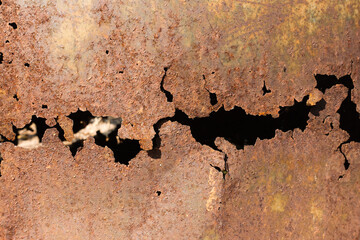 Old steel broken tank hole from rust close up.