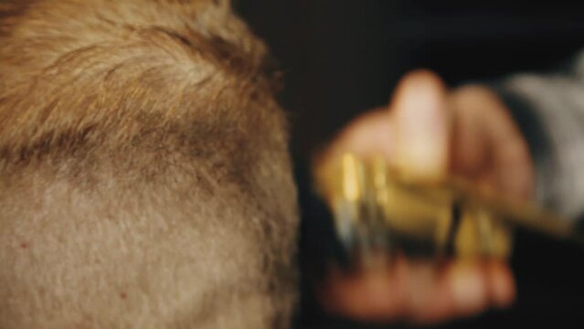 Barbershop. Men's haircut in detail. Close-up of a barber's hand. Barbershop. The man is doing a haircut. Close-up master's tools, comb, scissors, trimer.