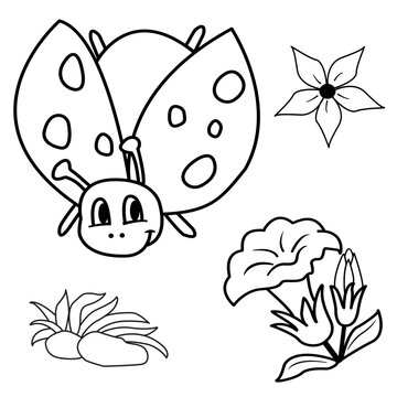 Coloring book. Cartoon vector ladybug, flowers, and leaves on stone. Illustration of a funny ladybug flying on a white background