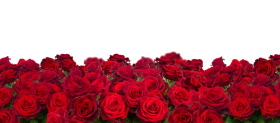 Foto op Canvas bouquet of dark  red roses  close up © neirfy