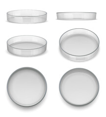 Petri dish. Round dish for analysis or laboratory experiments decent vector realistic template