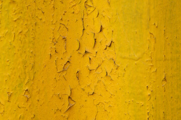 Macro view of peeling yellow paint.