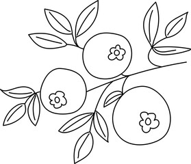 vector illustration of the outline of a branch with leaves and berries of blueberries