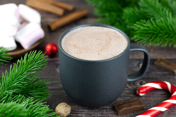 Hot cocoa drink with chocolate pieces, marshmallows, cinnamon, fir branches on a wooden background. Selective focus.