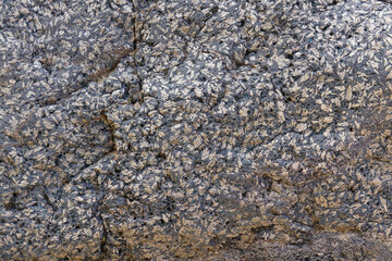 The great crossing of the Atlas in Morocco, 18 days of walking. Close-up on the atypical rocks of Toubkal 