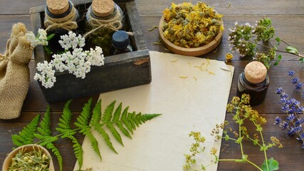 Colorful medicinal herbs and  bottles of oils and tinctures on a wooden background with a sheet of...