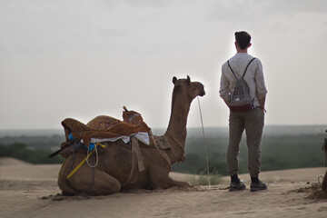Camel in the desert with a man