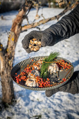 Vogelfutter im verschneiten Garten aufhängen, DIY Winter, Vogelfutter selber machen, Dekoration im WInter basteln, Vögel füttern